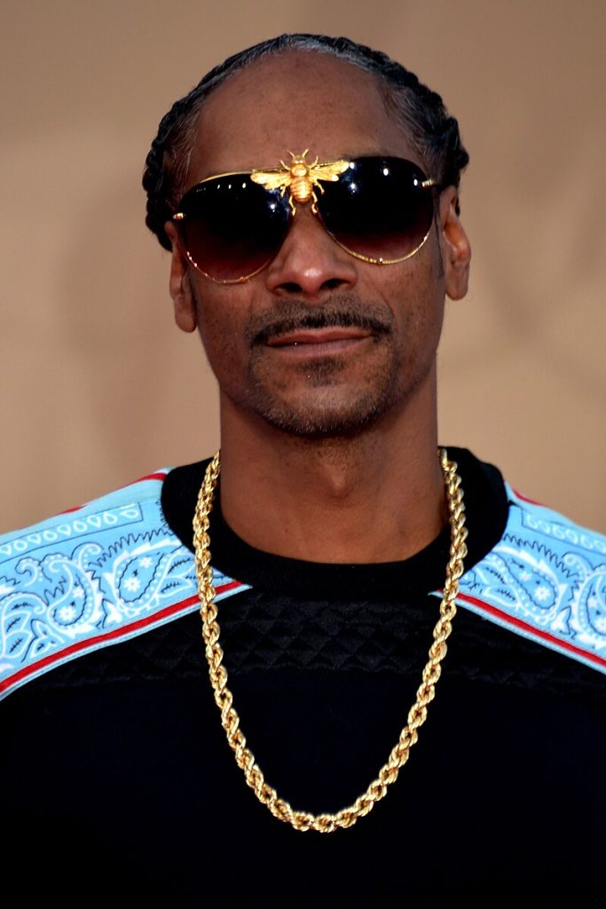 Snoop Dogg Net Worth 2024: How Rich Is the Rap Icon?